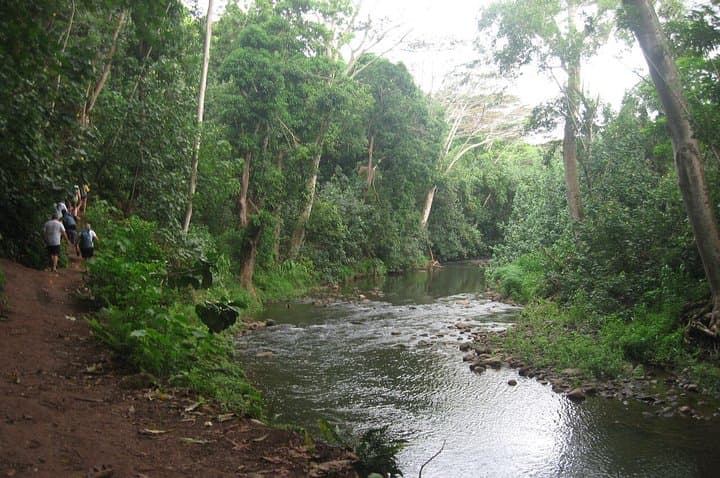 Kauai Kayak & Hike to Secret Falls: Guided Wailua River Adventure photo 3