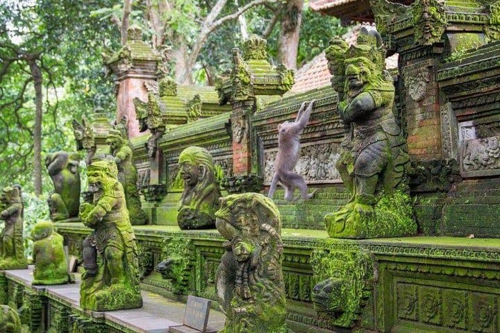 All of Ubud: Monkey Forest, Volcano Views, Temples & Tegalalang Rice Terraces photo 5
