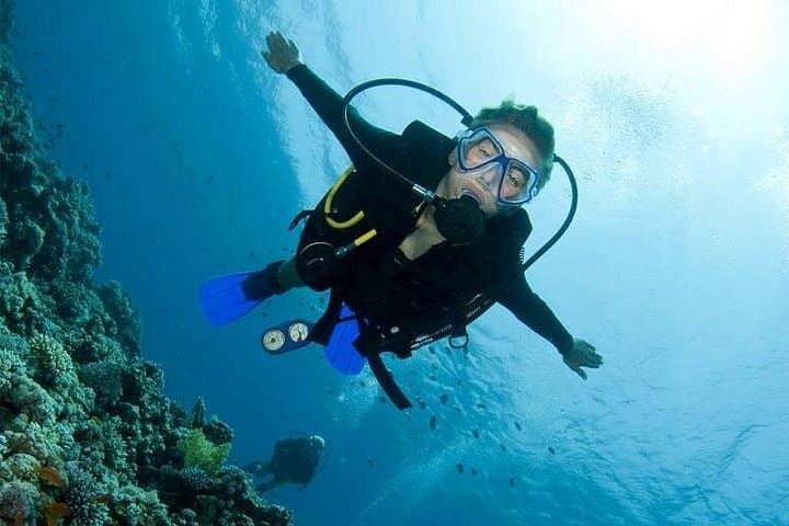 Menjangan Island Bali Diving: Coral Gardens & Drop-Offs from Pemuteran photo 2