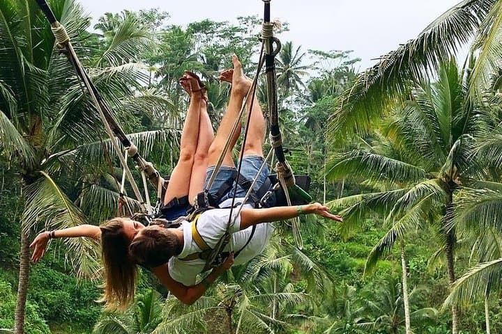 Tegalalang Rice Terrace Swing: Ubud's River-Pool Swings & Bird Nests