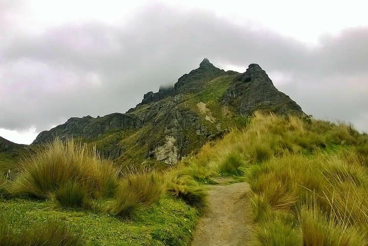 Rucu Pichincha via Teleferico: Summit Hike from Quito photo 5