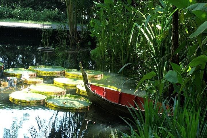 Full-Day Private Penang Island Tour: Spice Garden, Batik & Teluk Bahang photo 1