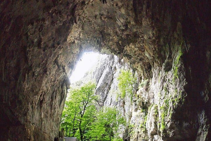 Lipica Stud Farm & Skocjan Caves Day Trip from Ljubljana — Lipizzaners and the World’s Largest Underground Canyon photo 6