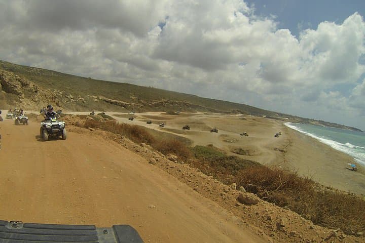Akamas Half-Day Buggy Safari & Lara Bay Turtle Beach from Paphos photo 5