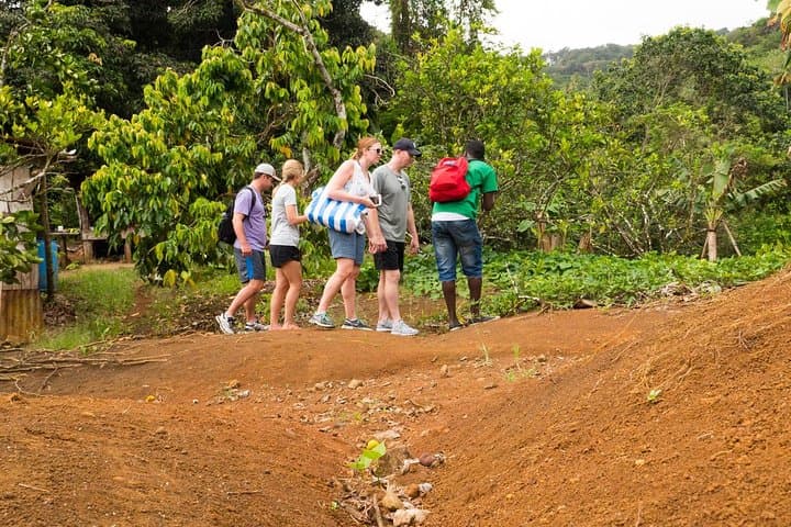 Rainforest Hike to a Waterfall near Castries, St. Lucia — 3–4 Hour Guided Trek photo 2