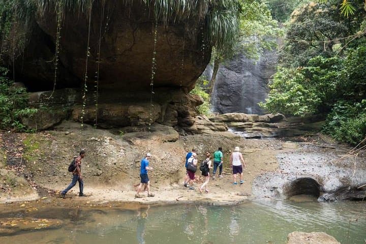 St. Lucia Treetop Canopy: Zipline and Rainforest Hike or Bike Day Trip photo 3