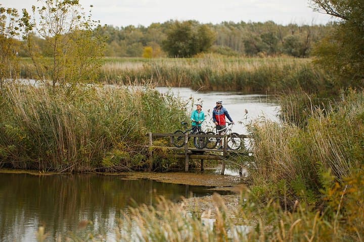 Carska Bara Bike Tour: Birdwatching and Wetlands Cycling Near Zrenjanin