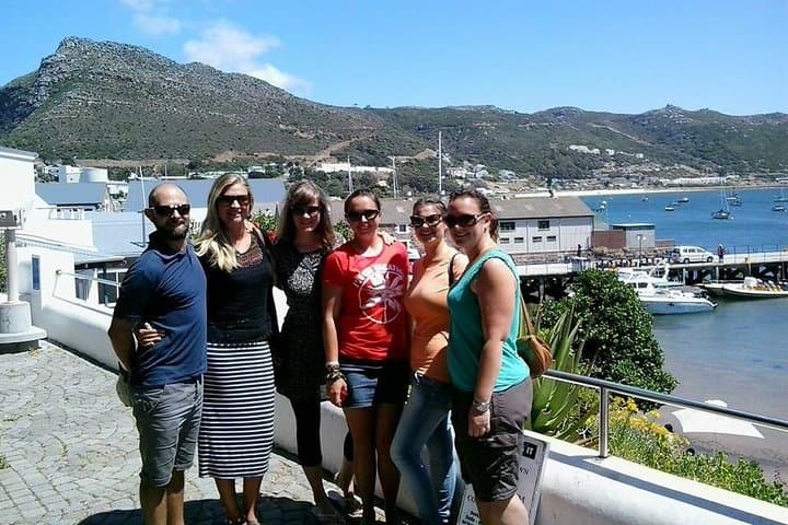 Cape Point Peninsula Tour: Penguins, Fynbos & Coastal Drives from Cape Town