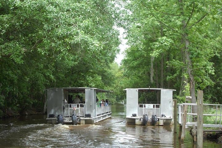 Jean Lafitte 90-Minute Swamp and Bayou Boat Tour from New Orleans