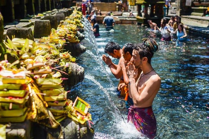 Ubud Jungle Swing, Monkey Forest & Rice Terraces — Full-Day Private Tour photo 5