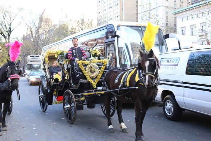 Central Park Private Horse Carriage Tour — 45-Minute Horse-Drawn Ride Through NYC