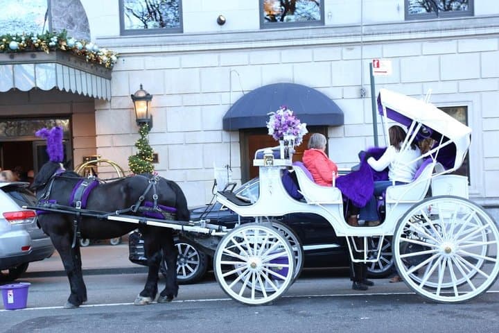 Central Park Private Horse Carriage Tour — 45-Minute Horse-Drawn Ride Through NYC photo 5