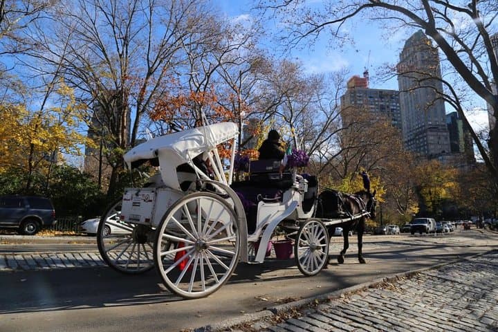 Central Park Private Horse Carriage Tour — 45-Minute Horse-Drawn Ride Through NYC photo 6