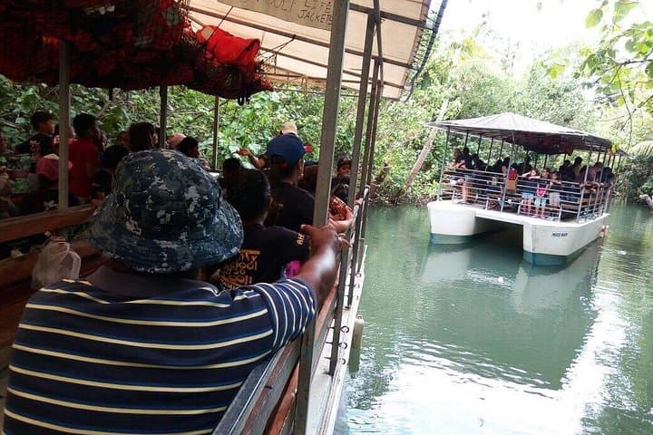 Valley of the Latte Jungle Riverboat Cruise — Talofofo & Ugum River Adventure, Guam