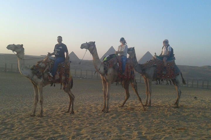 Camel Ride at Giza Pyramids: Half-Day Tour from Cairo