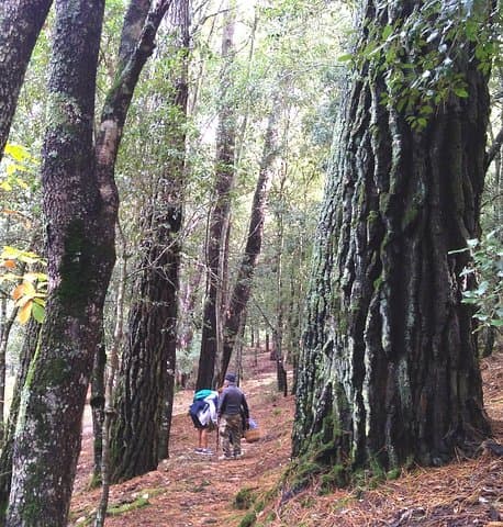 Hiking the Valleys of Sette Fratelli: A 4-Hour Sardinia Trek photo 2