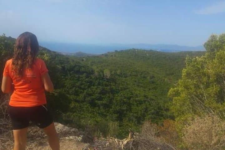 Hiking the Valleys of Sette Fratelli: A 4-Hour Sardinia Trek photo 3