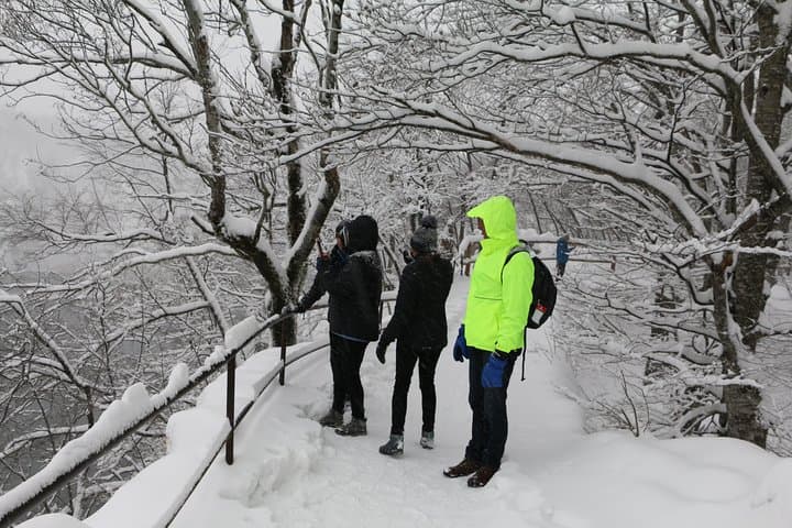 Frozen Plitvice Lakes: Private Winter Hiking Day Trip from Zagreb photo 3