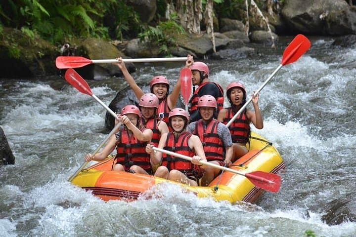 Half-Day Ayung River Whitewater Rafting From Ubud — Class II–III Rapids & Waterfall Swims