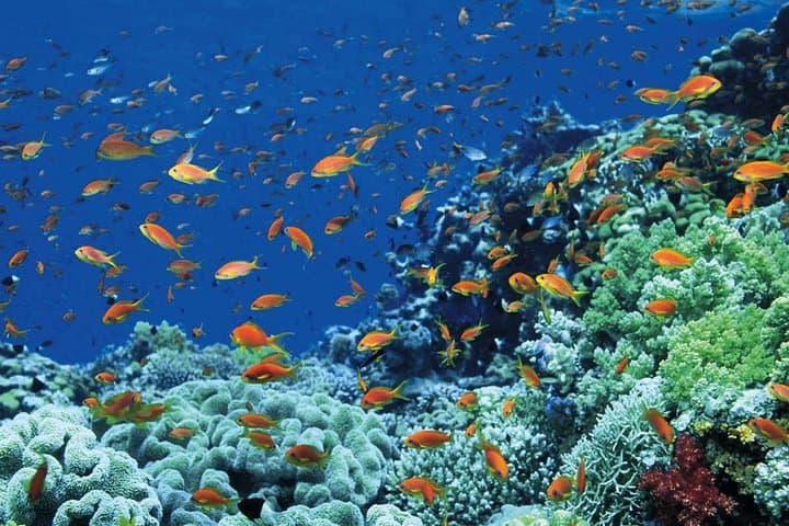 9-Day Cairo, Luxor & Hurghada: Pyramids, Pharaohs and Red Sea Relaxation photo 3