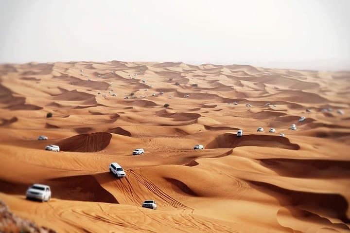 Evening Desert Safari and Al Hadheerah Dinner at Bab Al Shams photo 2