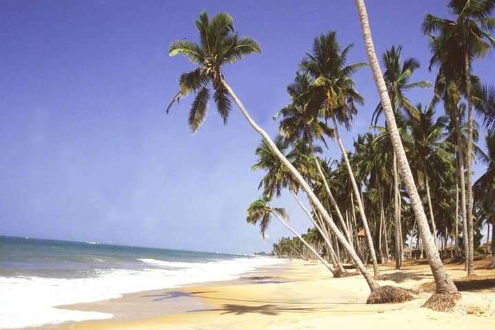 Cape Coast Day Tour from Accra — Kakum Canopy Walk, Castle & Crocodiles photo 5