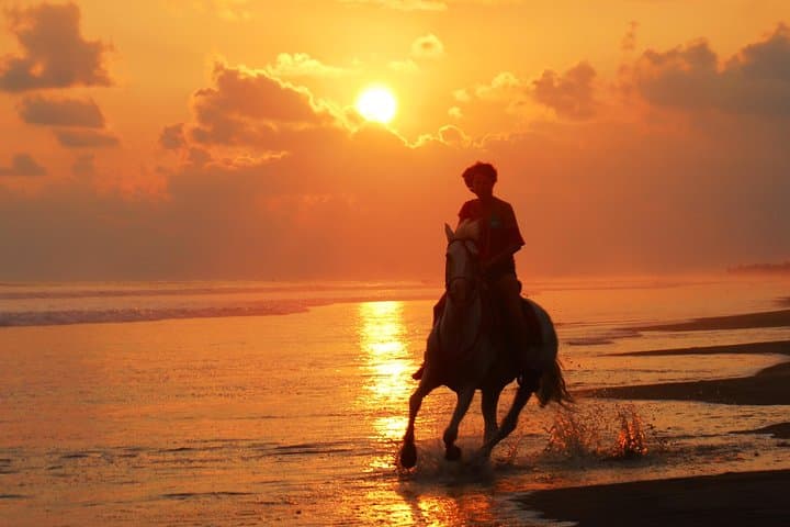 Sunset Horses: Golden‑Hour Beach Ride Near Quepos