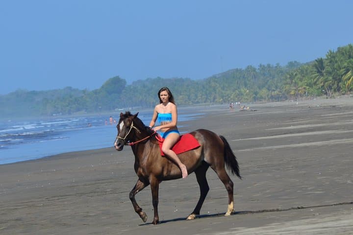 Sunset Horses: Golden‑Hour Beach Ride Near Quepos photo 2
