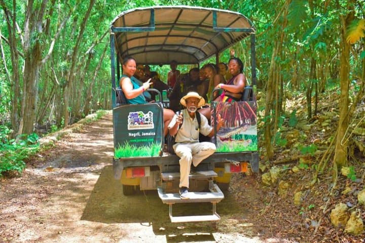Zip Over Negril: Jamwest Zipline & JamCulture Safari Combo Adventure photo 2