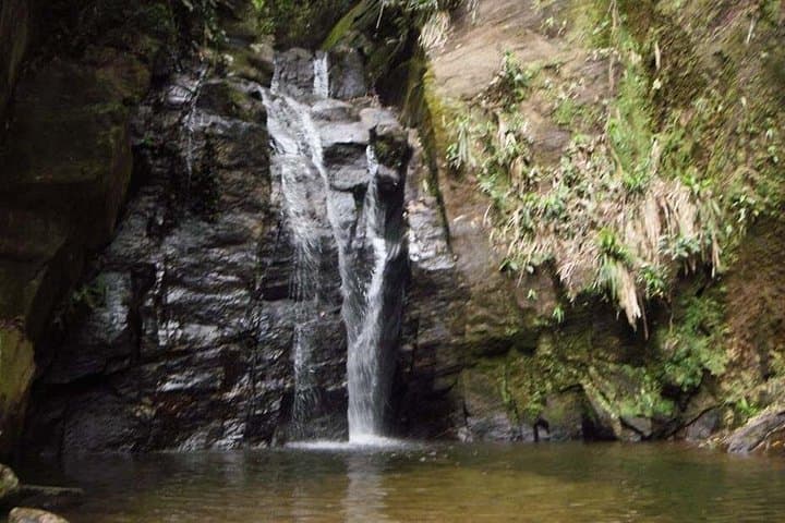 Horto Waterfalls Circuit: Guided Hike and Swimming in Tijuca National Park photo 2