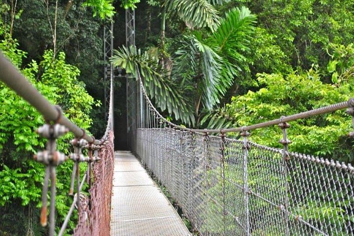 Mistico Hanging Bridges Park: La Fortuna Rainforest Walk Across 15 Bridges photo 4