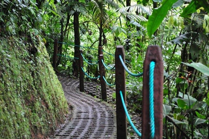 Mistico Hanging Bridges Park: La Fortuna Rainforest Walk Across 15 Bridges photo 5