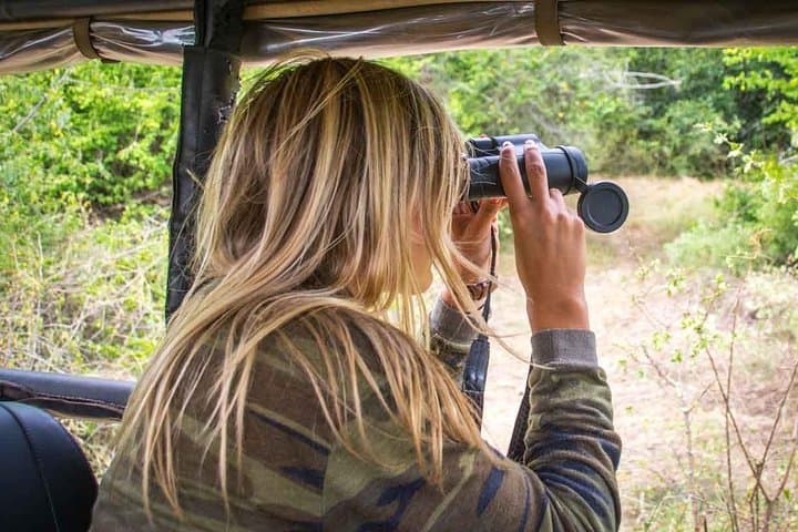 Leopard Safari in Yala National Park: Best Times, What to Expect & Practical Tips
