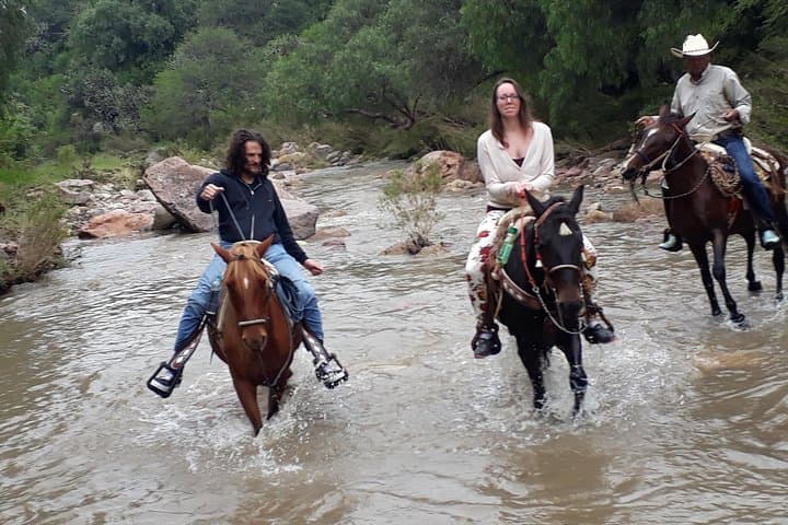Half-Day Trail Riding Near San Miguel de Allende: Ranch Ride & Authentic Lunch