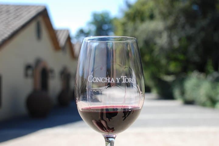 Half-Day Private Tour to Concha y Toro Vineyard from Santiago — Winetasting Included