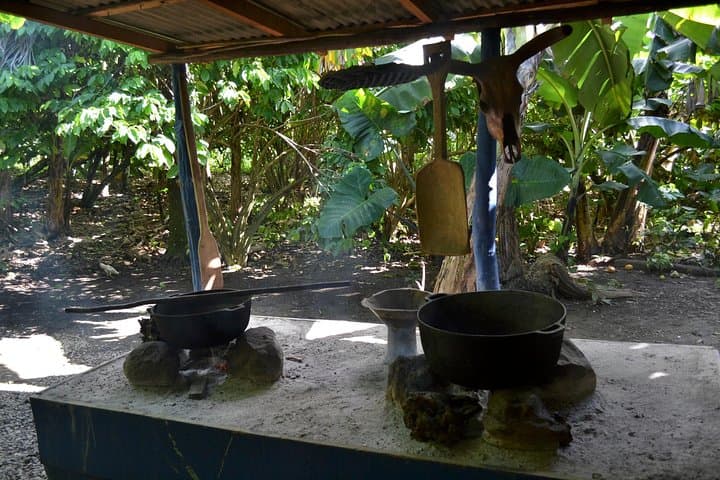 Exploring the Dominican Countryside: A Safari Adventure from Punta Cana photo 2