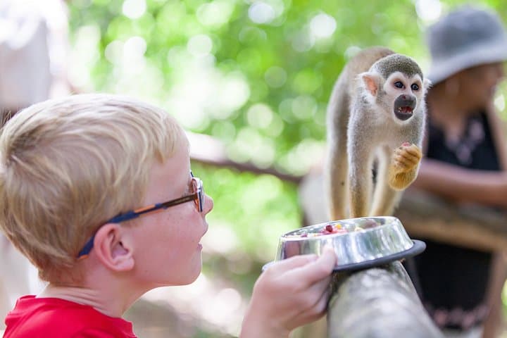 Puerto Plata Zipline and Monkeyland Adventure — Cabarete Jungle Canopy Tour photo 3