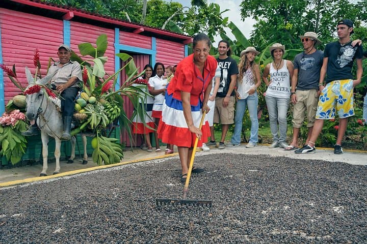 Bayahibe Countryside Safari: Full-Day Sugarcane, Coffee and Mountain Views from La Romana