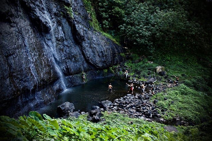 Moorea Day Tour: Mountains, Beaches & Waterfalls with Local Guides photo 5