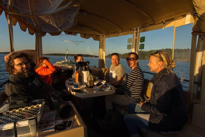 Puumala Saimaa Seal Cruise — Electric Boat Wildlife and Archipelago Tour photo 4