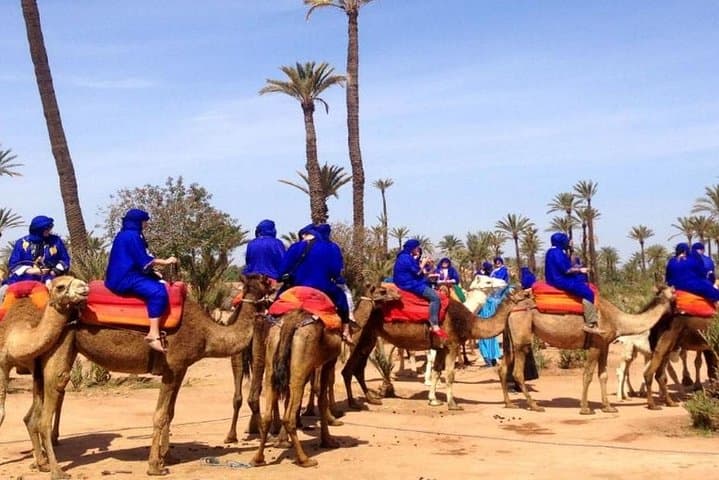 Sunset Camel Ride Through Marrakech Palmeraie with Berber Tea photo 3