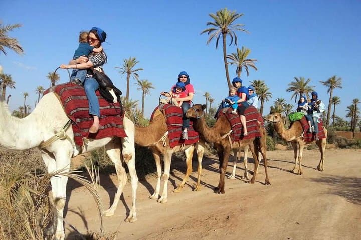 Sunset Camel Ride Through Marrakech Palmeraie with Berber Tea photo 4