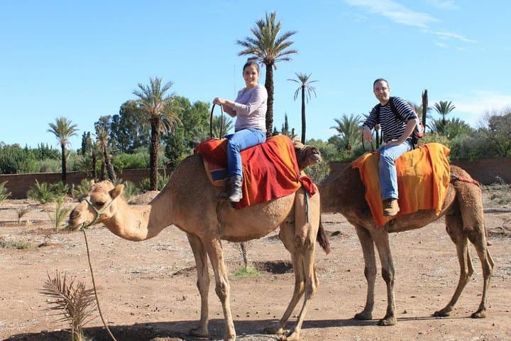 Sunset Camel Ride Through Marrakech Palmeraie with Berber Tea photo 6