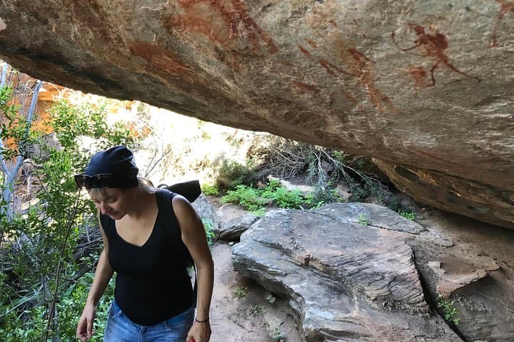 Cederberg Rock Art Day Trip from Cape Town — Private Guided San Paintings & Wilderness