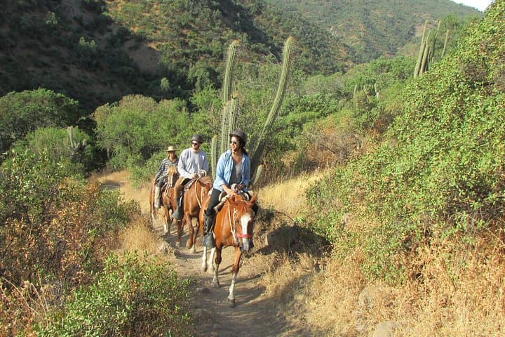 Andes Horseback Riding from Santiago: Private Mountain Ride with Picnic & Wine