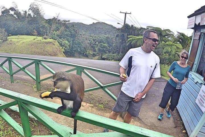 Pure Grenada Private Full-Day Tour — Waterfalls, Chocolate & Rum Tasting photo 5