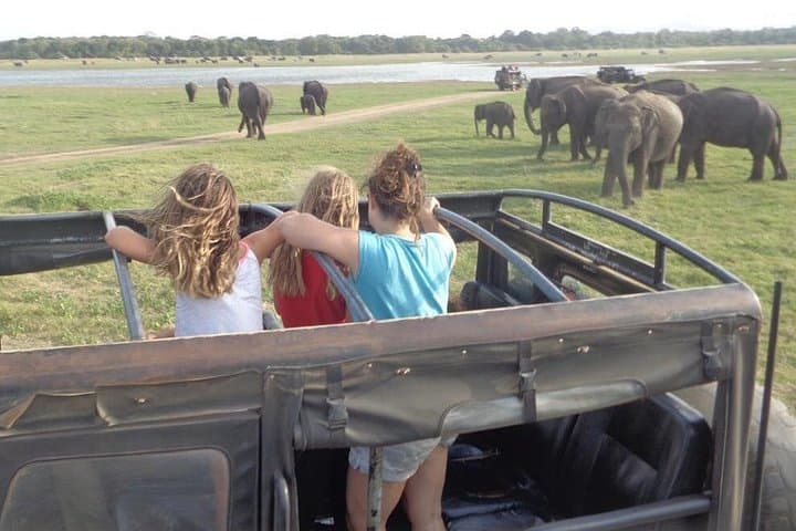 Kaudulla National Park Private Safari from Sigiriya — See the Elephant Gathering by Jeep photo 2