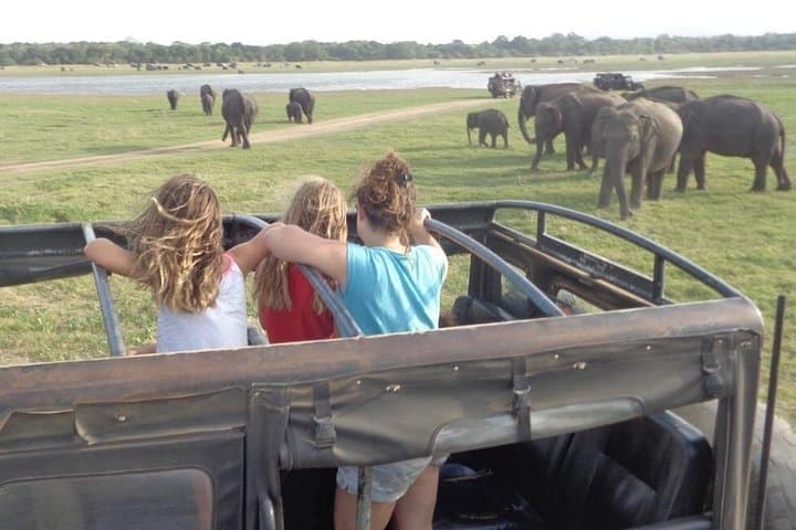 Kaudulla National Park Private Safari from Sigiriya — See the Elephant Gathering by Jeep photo 3