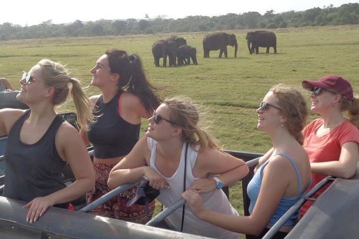 Kaudulla National Park Private Jeep Safari from Habarana — See The Elephant Gathering photo 2