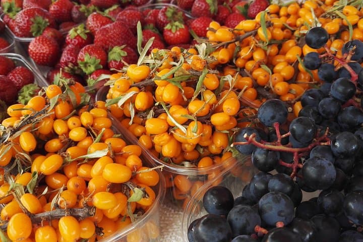 Private Taste of Helsinki & Suomenlinna: Food, History and Sea Fortress Walking Tour photo 2